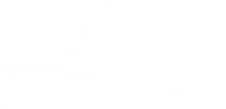 Premier Property Management White Logo